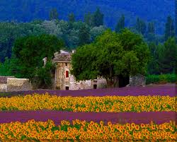 Provence 