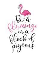 flamingo 