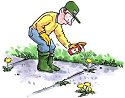 pesticides