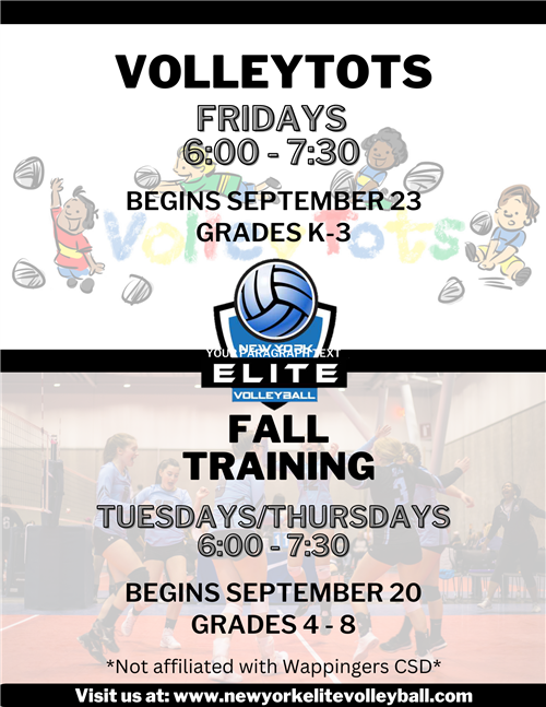 Volleyball Clinic