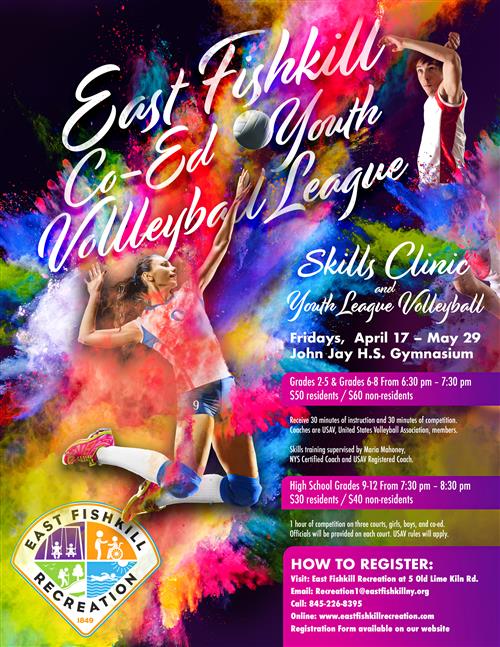 Volleyball League 