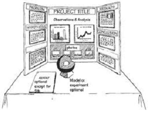 science fair